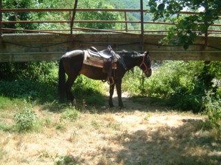  Image name: DSCF2801.JPG 
 width: 320 pixel 
 height: 240 pixel 
 Size: 34580 bytes 
 Click to enlarge 